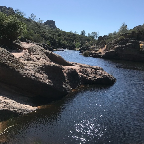 Meet your Posher, Riley - Picture 5 of 5